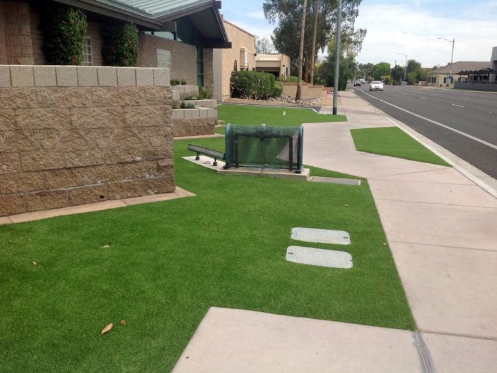 Synthetic Turf Supplier Coal Creek, Colorado Home And Garden, Front Yard Design