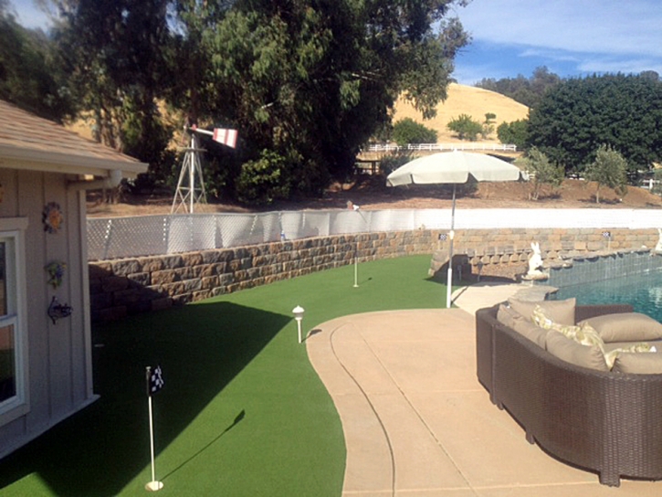 Synthetic Turf Supplier Edgewater, Colorado Landscape Design, Backyard Ideas