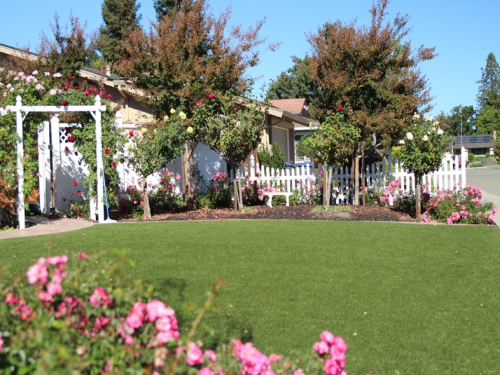 Synthetic Turf Supplier Monte Vista, Colorado Landscaping Business, Front Yard Landscaping