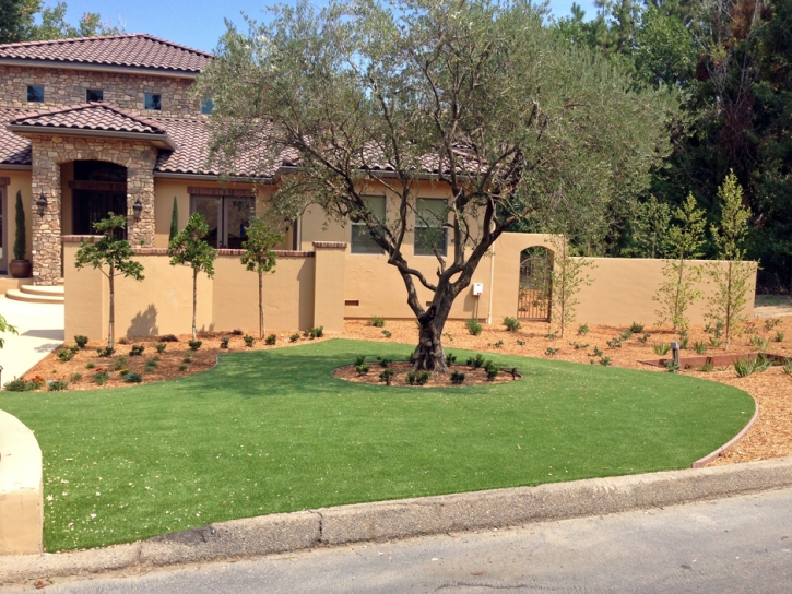 Synthetic Turf Supplier Vail, Colorado Rooftop, Small Front Yard Landscaping