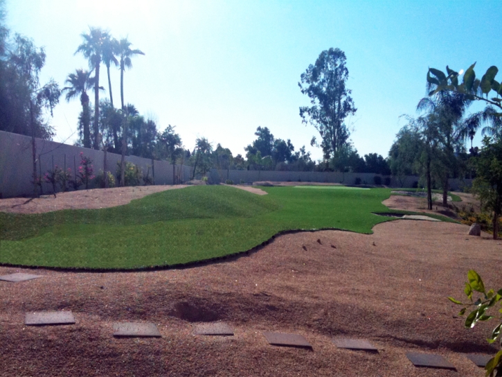 Turf Grass Cattle Creek, Colorado Backyard Putting Green, Backyard Ideas