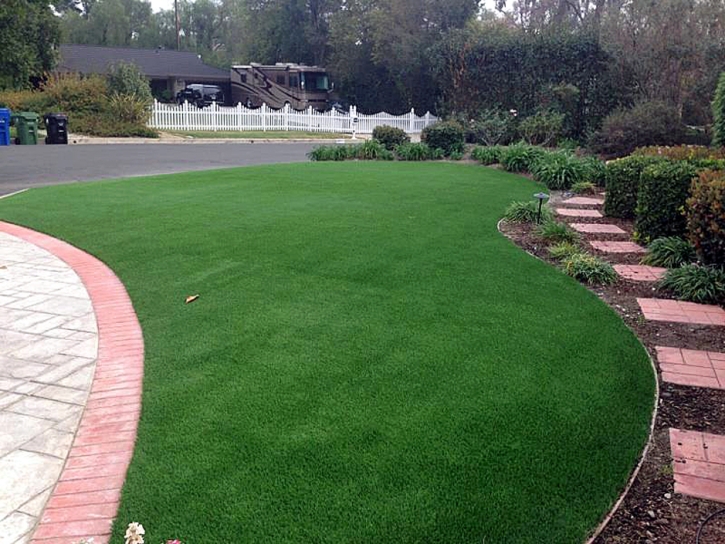 Turf Grass Gerrard, Colorado Rooftop, Front Yard Landscape Ideas