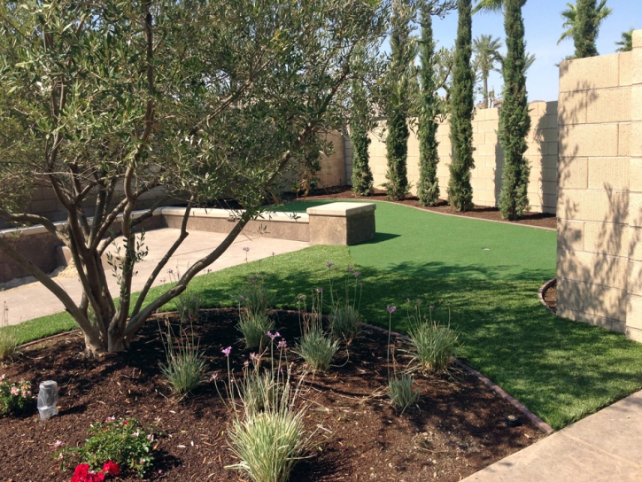 Turf Grass Granby, Colorado Garden Ideas, Backyard