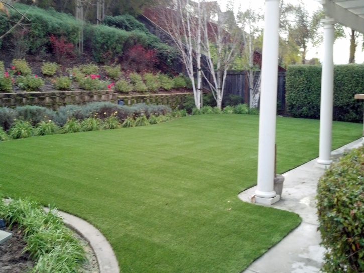 Turf Grass Ignacio, Colorado Pet Grass, Backyard Ideas