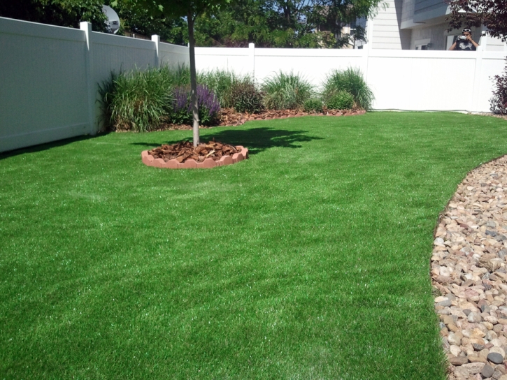 Turf Grass Lone Tree, Colorado Roof Top, Backyard