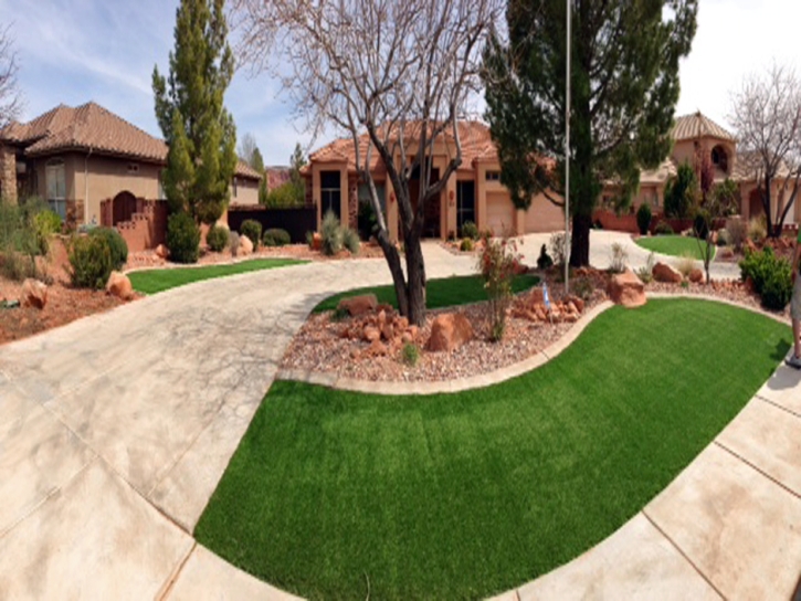 Turf Grass Meridian, Colorado Roof Top, Front Yard Landscape Ideas