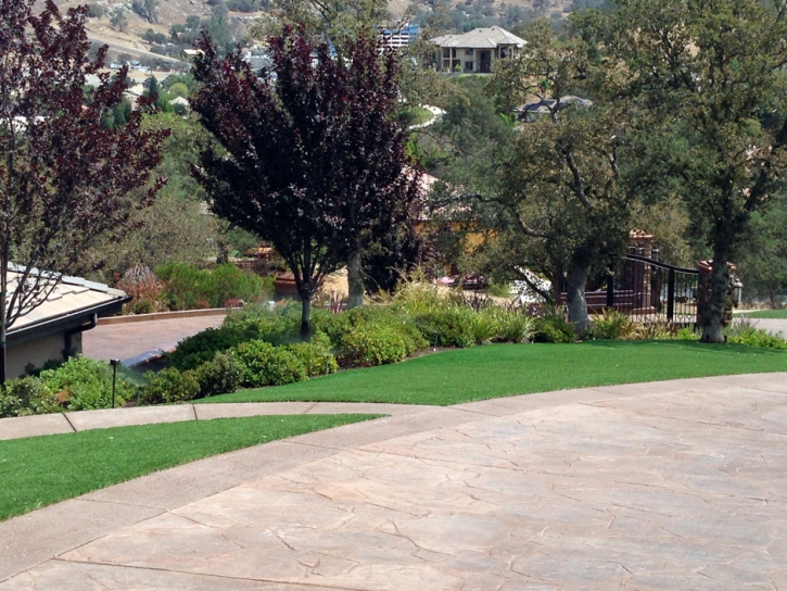 Turf Grass Penrose, Colorado Backyard Deck Ideas, Front Yard Design