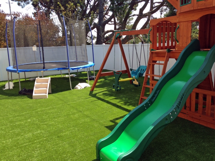 Turf Grass Perry Park, Colorado Landscape Rock, Backyard Makeover