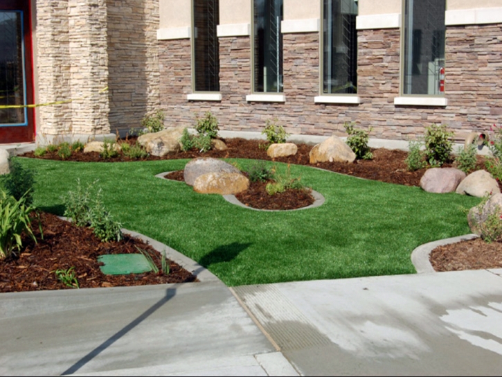 Turf Grass Southglenn, Colorado City Landscape, Commercial Landscape